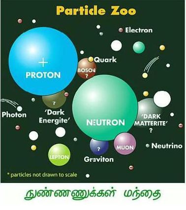 Particle Zoo -1