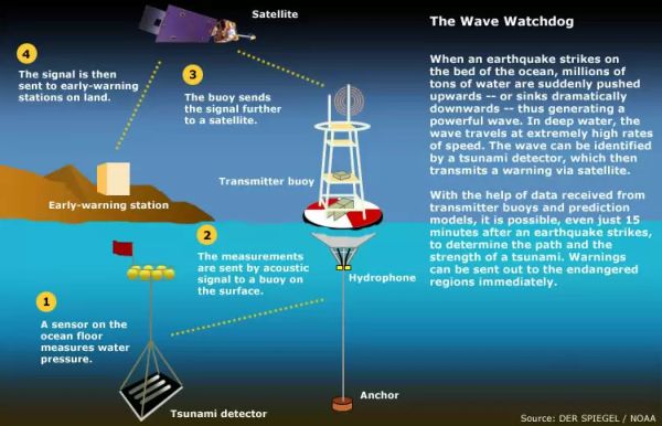 Wave watchdog