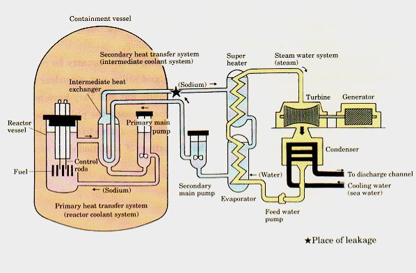 Japan Monju Fast Reactor