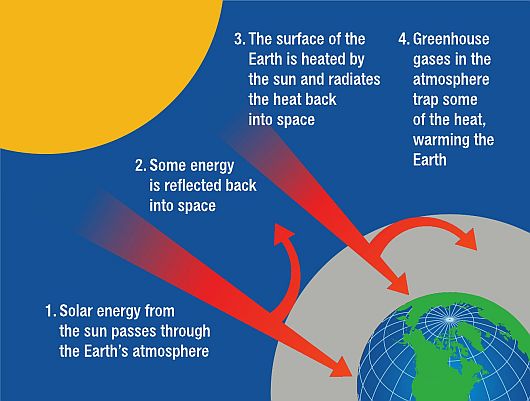 Picture -11