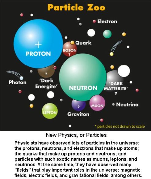 Particle Zoo