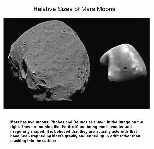 Relative Size