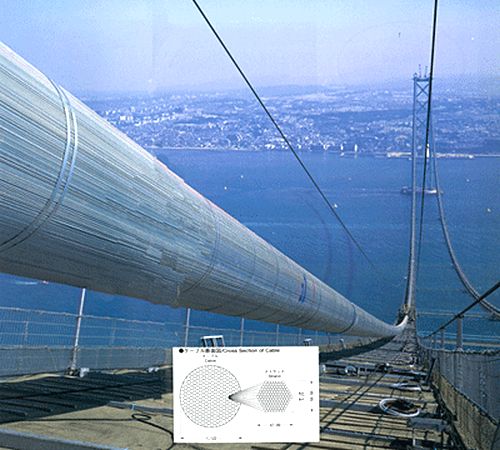 Support Cable -1