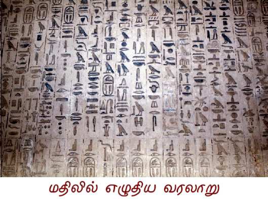 Fig History on the Wall