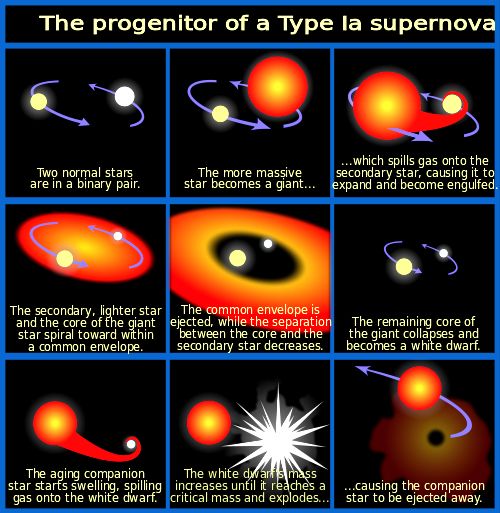 Supernova cycle