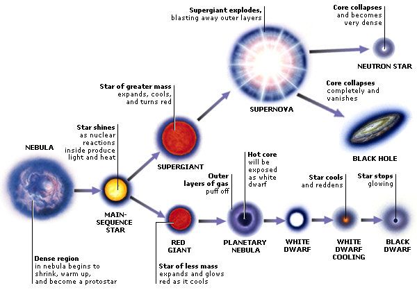 Star Life cycle