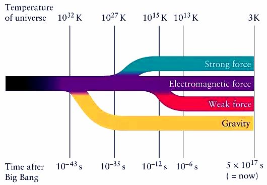 Four Forces