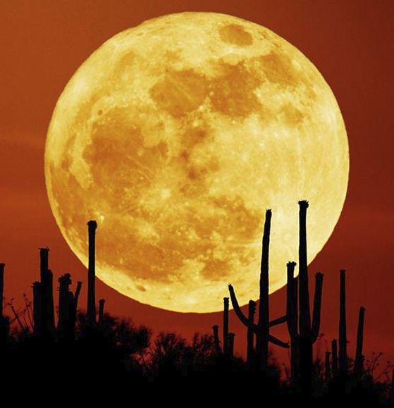 super-moon-5