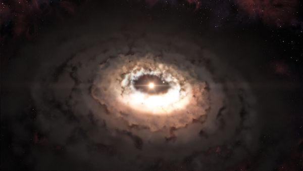 dust-traps-1